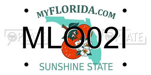 MLO02I Florida License Plate