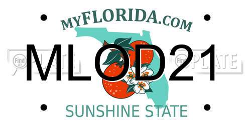 MLOD21 Florida License Plate