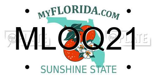 MLOQ21 Florida License Plate