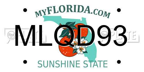 MLQD93 Florida License Plate