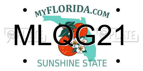 MLQG21 Florida License Plate