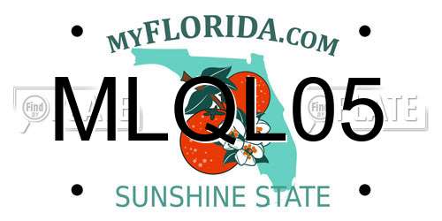 MLQL05 Florida License Plate