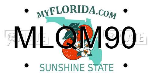 MLQM90 Florida License Plate
