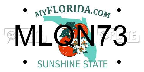 MLQN73 Florida License Plate