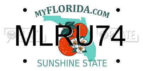 MLRU74 Florida License Plate