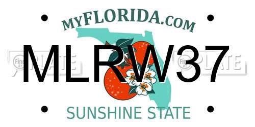 MLRW37 Florida License Plate