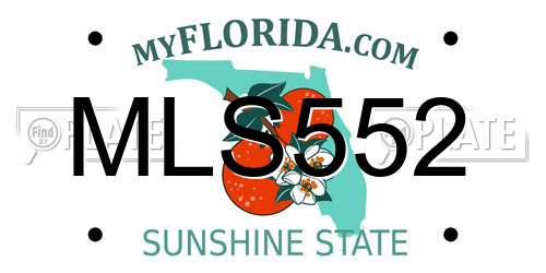 MLS552 Florida License Plate