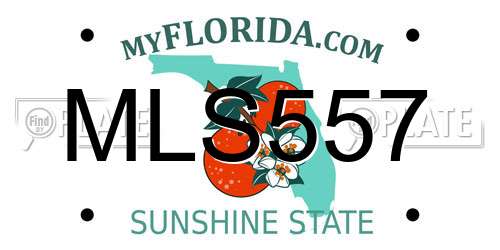 MLS557 Florida License Plate