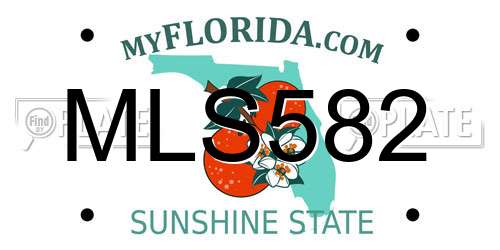 MLS582 Florida License Plate