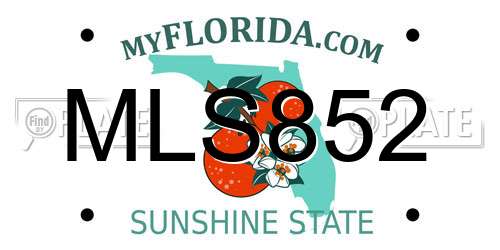 MLS852 Florida License Plate