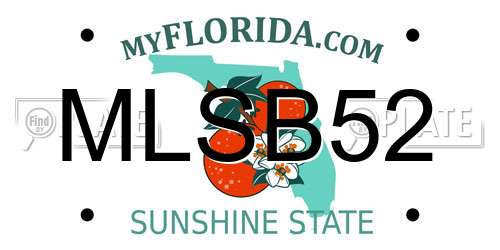 MLSB52 Florida License Plate