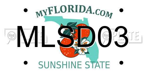MLSD03 Florida License Plate