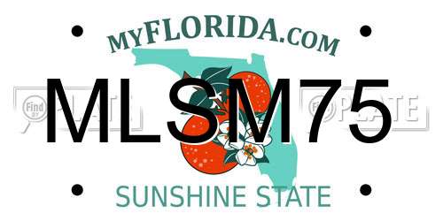 MLSM75 Florida License Plate