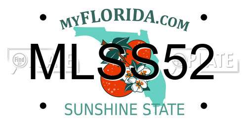 MLSS52 Florida License Plate