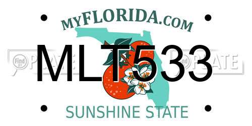 MLT533 Florida License Plate