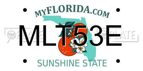 MLT53E Florida License Plate