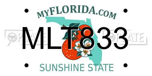 MLT833 Florida License Plate
