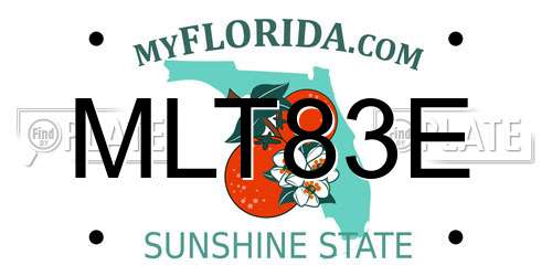 MLT83E Florida License Plate