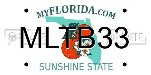 MLTB33 Florida License Plate