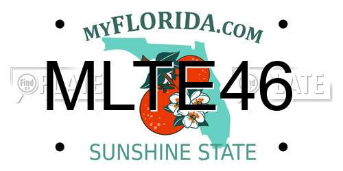 MLTE46 Florida License Plate