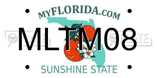 MLTM08 Florida License Plate