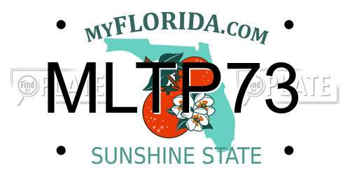 MLTP73 Florida License Plate