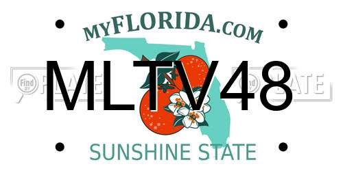 MLTV48 Florida License Plate