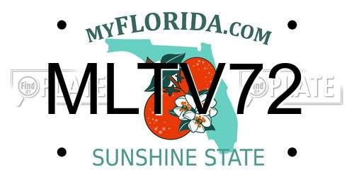 MLTV72 Florida License Plate