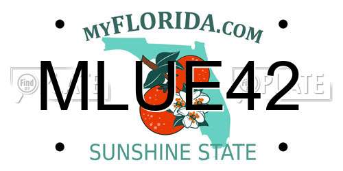 MLUE42 Florida License Plate