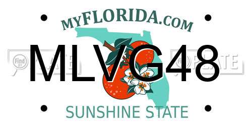 MLVG48 Florida License Plate