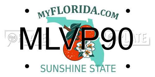 MLVP90 Florida License Plate