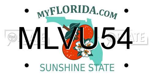 MLVU54 Florida License Plate