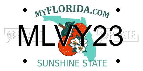 MLVY23 Florida License Plate