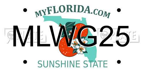 MLWG25 Florida License Plate