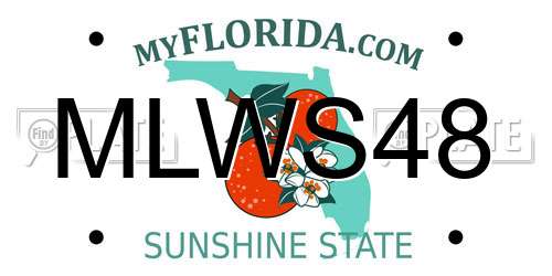 MLWS48 Florida License Plate