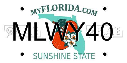 MLWY40 Florida License Plate