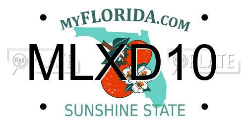 MLXD10 Florida License Plate