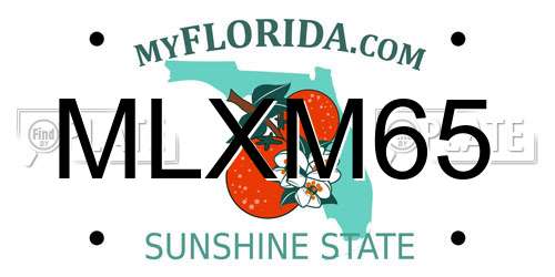 MLXM65 Florida License Plate