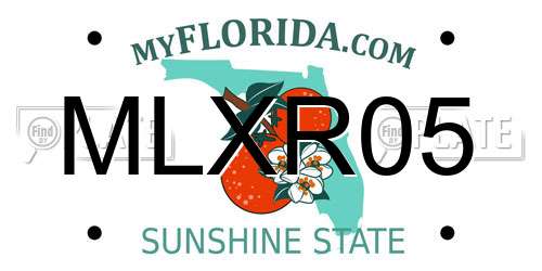 MLXR05 Florida License Plate