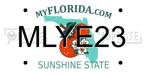 MLYE23 Florida License Plate