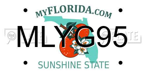 MLYG95 Florida License Plate