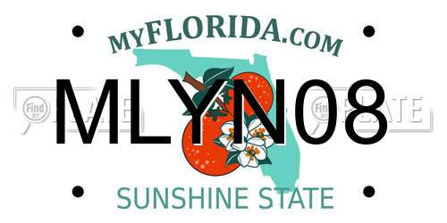 MLYN08 Florida License Plate