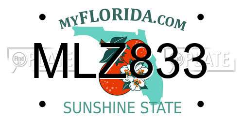 MLZ833 Florida License Plate