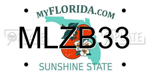 MLZB33 Florida License Plate