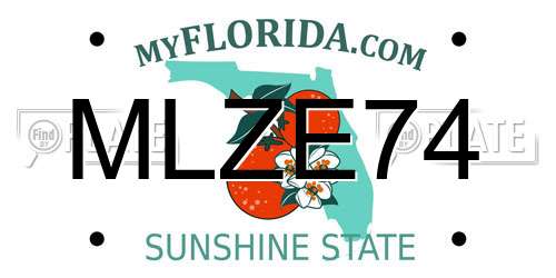 MLZE74 Florida License Plate