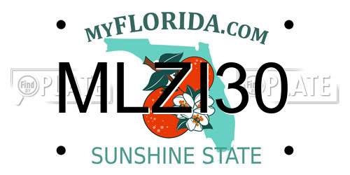 MLZI30 Florida License Plate