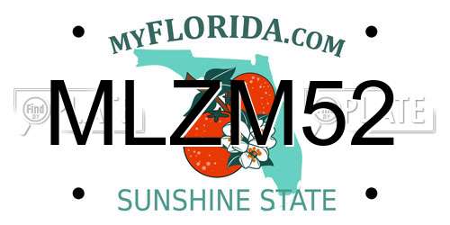MLZM52 Florida License Plate