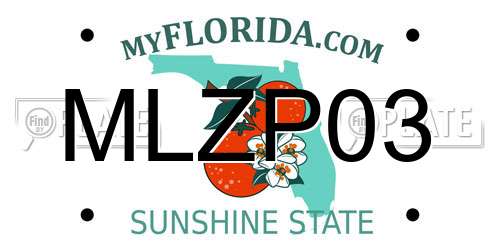 MLZP03 Florida License Plate