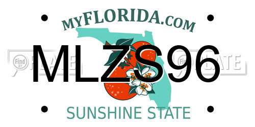 MLZS96 Florida License Plate