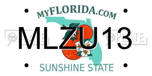 MLZU13 Florida License Plate